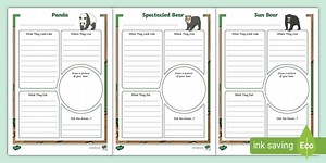 Bear Information Report Writing pack