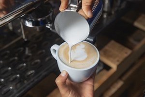 Feria Expo Café 2022 impulsará ventas de pequeños productores