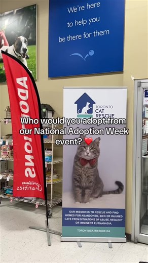 Adopt a Pet This National Adoption Week at PetSmart