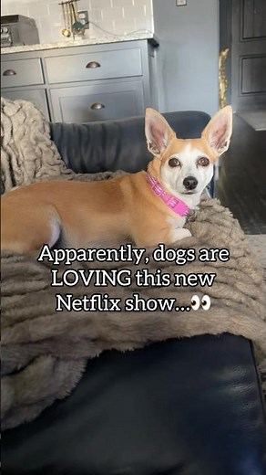Bella reviews Sealook