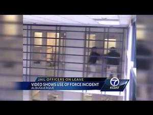 Video shows use of force incident