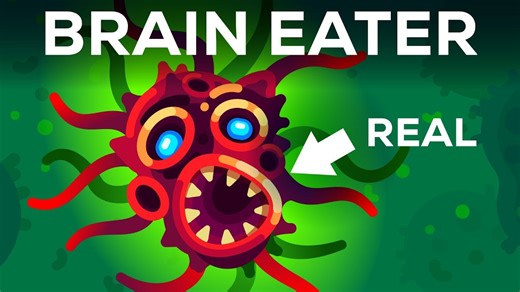 Is the "Brain Eating Amoeba" That Bad? Yes. Yes, It Is.