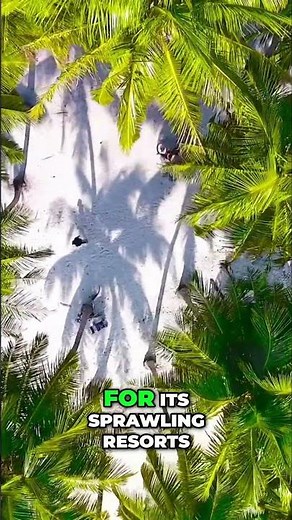 Island of Dominica | Discovering the Nature Island's Volcanic Beauty