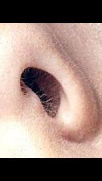 Actress Léa Seydoux Unseen Nose and Lips Closeup HD