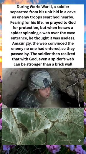 76K views · 1K reactions | The Spider's Web: How a Thread Saved a Soldier's Life #viral #trending #story #newcontent | Comedy Plug USA | Facebook