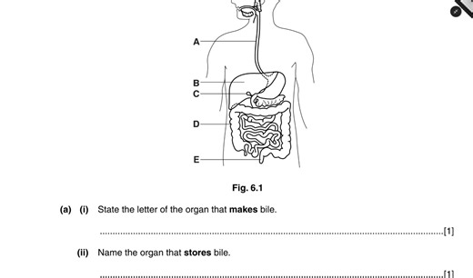 56K views · 1.7K reactions | Human Digestive System Q&A | Biology Exam Revision Made Easy For online classes WhatsApp on 960746873 | Genius Pro Online School | Facebook