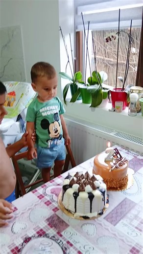 Nicoleta Stere pe TikTok