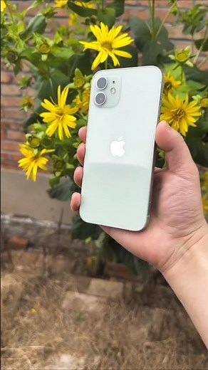 iPhone 12 Camera 🔥 Full Comparison & Test