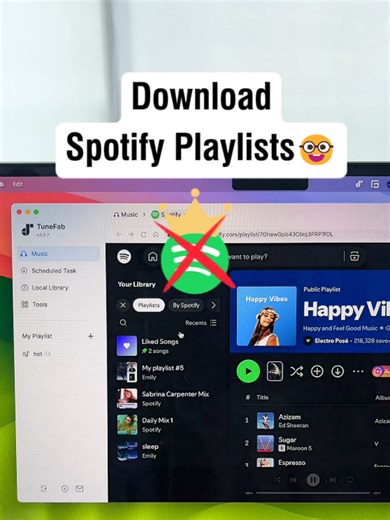 How to download spotify playlists #spotify #spotifyplaylist #musicdownload #techhacks #tunefab