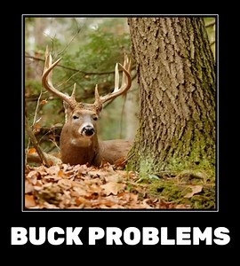 75K views · 713 reactions | Buck Problems 歷 | Bubba Buck Adventures | Facebook