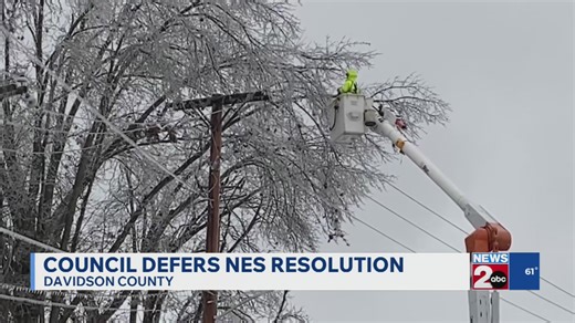 Metro Council defers NES resolution