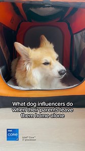 Dell Technologies on Reels