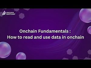 Onchain Fundamentals : How to read and use data in onchain