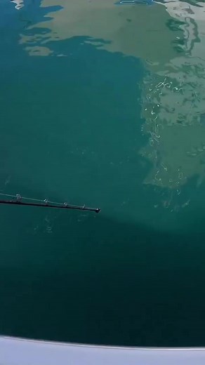 8.4K views · 81 reactions | How to use the Dropper Loop Part 3 #fishingtime #fishingdaily #dropperloop #fishingknot #fishingknots #fishingpole #fishingrod #fishingreel #fishingreels #spanishmackerel | Your Saltwater Guide | Facebook