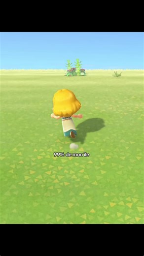 Petit changement de contenu dans Animal Crossing