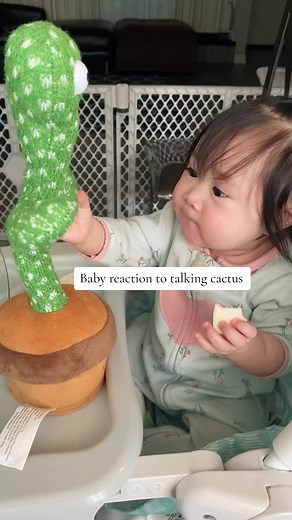 Dancing Cactus Toy for Kids | Fun and Interactive Plant Toy