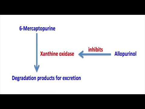 6 Mercaptopurine Mechanism
