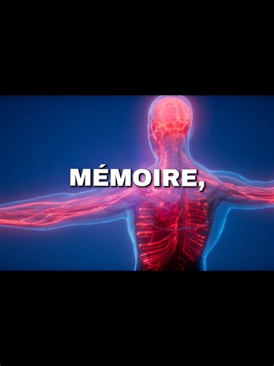 Tu penses avoir une mauvaise mémoire ? Ce n’est pas ton cerveau le problème. C’est ton environnement. Notifications, multitâche, surcharge d’informations… Tu empêches ton cerveau d’encoder correctement. Dans mon guide “Booster sa mémoire et sa concentration”, je t’explique : • Pourquoi ton attention est fragmentée • Comment recréer une vraie zone de focus • La méthode des 25 minutes validée neuroscientifiquement • Les micro-habitudes qui recâblent ton cerveau • Comment retrouver une clarté menta
