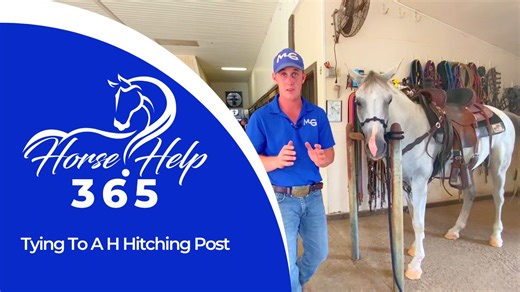 🐴 Horse Help 365 - Daily Horse Training Videos 🐴 “Tying To A H Hitching Post” Want a safer, smarter way to tie your horse? In this video, Michael Gascon shows you exactly how to tie a horse to an H-style hitching post using a clove hitch—and why it’s a game changer for safety, control, and horsemanship. You'll learn: ✅ How to tie a secure clove hitch step by step ✅ Why the H-style post provides better safety than cross-ties or wall ties ✅ How to keep both you and your horse out of dangerous si