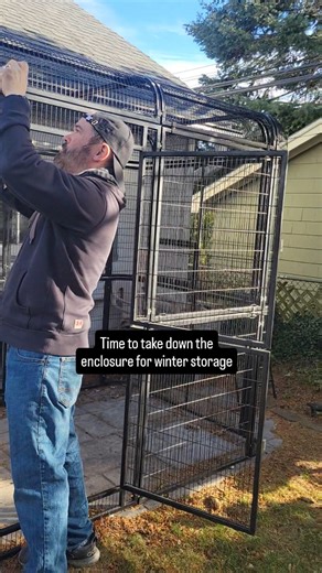 Chip & Chloe Squirrel and Wildlife Rescue | Kind of a sad day... we took down the outdoor enclosure to store it away for the winter. The babies haven't been using it other than to... | Instagram