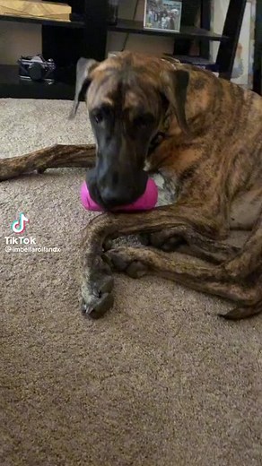 Bella Roland (@bellaroland036)’s videos with original sound - Bella Roland