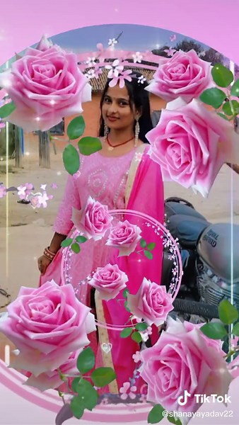 Captivating Rose Imagery: A Visual Delight