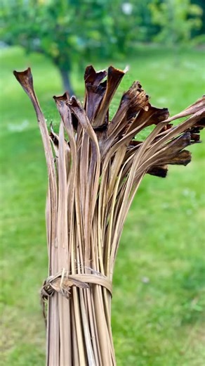 Take about 50 or so Cabbage tree leaves (Tī kōuka), soak for a few days, shred the ends, bind super tight with cotton rope, add in a pheasant tail feather (just for fun), trim it all up, and bam 💥 you’ve got yourself a fancy, sustainable broom! 🧹 Functional and nice enough to hang on your wall! 😀 If you fancy one of your own or for someone else, I’m happy to custom make to order - DM me or check out my website - thegoodstuff.co.nz. Plus there are some available in The Department of Curiositie