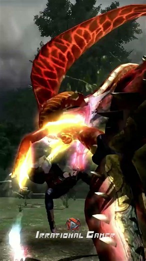 Echidna's attack #1 & #2 - Dmc4