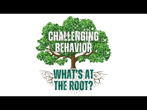 The Root of Challenging Behavior