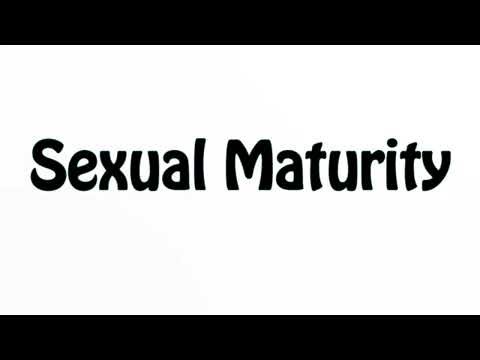 Learn How To Pronounce Sexual Maturity