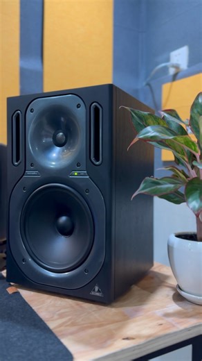 Behringer B2031A- 8” Studio Monitor : 329$ • 8.75” woofer (polypropylene diaphragm) • 1” dome tweeter (ferrofluid-cooled) • Frequency Response: ~50 Hz – 21 kHz • Total: ~450W bi-amped • Max SPL: ~116 dB (quite loud for a studio monitor) | D Gears