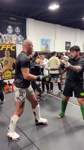 Alex Pereira sparring with Dillon Danis at fight camp