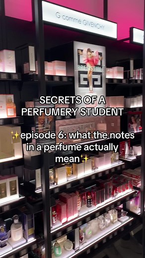 Understanding Perfume Notes - Fragrance Foundation Course Insights