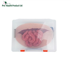[Hot Item] Wearable Abdominal Evisceration with Intestine Simulator Wound Moulage Wound Pack Trainer