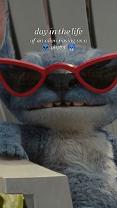 A day in the life of an alien... disguised as a dog 👽🐶 Catch Stitch’s wild earth adventure in Lilo & Stitch, now showing at SM Cinema! 🐶🌺🎬 BUY YOUR TICKETS NOW! 🔗: https://bit.ly/LiloAndStitchAtSMCinema 🎟: SM Cinema ticket booths #LiloAndStitch #LiloAndStitchAtSMCinema #SMCinema | SM Cinema