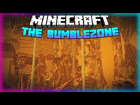 Going INSIDE a Minecraft Bee Hive!!! (The Bumblezone 1.17.1)