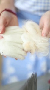 9.2K views · 284 reactions | Hand combs aren’t the typical tool that come to mind for blending, but they can be excellent for it. Fibers of similar staple length will blend best, such as this lamb’s wool and Angora fiber. After just two passes they were completely blended into light and fluffy top. This fiber combo will be almost effortless to spin. | Cedar Hill Fiber Farm | Facebook