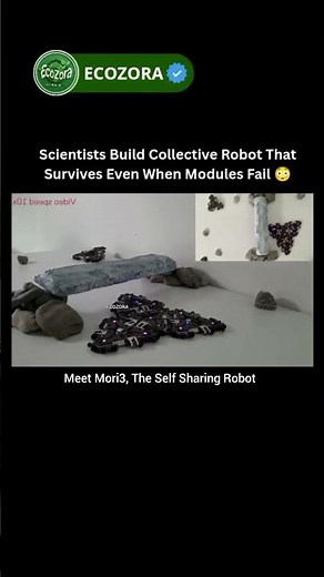 Modular Robot Revives Dead Units By Sharing Power #robotics #innovation #shorts