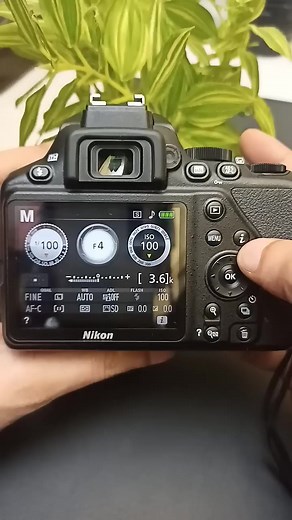Nikon D3500: Perfect Camera Settings Explained