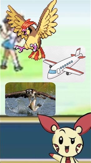 Facts about Pidgeotto the Bird Pokémon // Pokemon facts