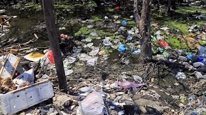 1.5M views · 1.2K reactions | This Climate Week, we’re grateful for...