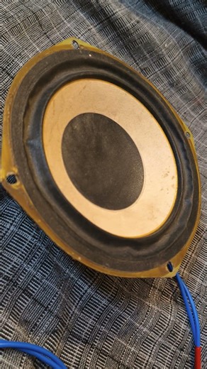 Testing Sony Woofer Mid-Bass 🔥 | BhairavTech | #shorts #sonyspeaker #sonywoofer