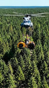 Helicopter technology tree cutting services #tree #airealtreecutting #machinery #treecutting #reels | Flying Chainsaw Crew