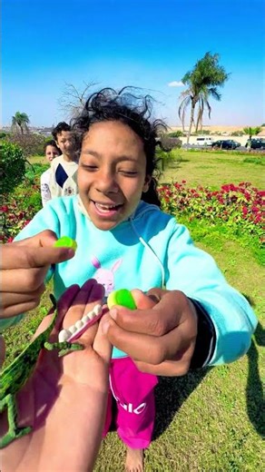 The mischievous chameleon🦎😯