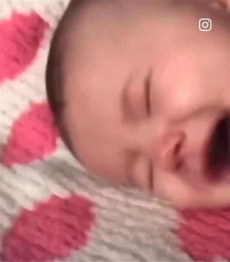 Baba Louie on Instagram: "Say what??🙀😹🥲❤️🌺😘"
