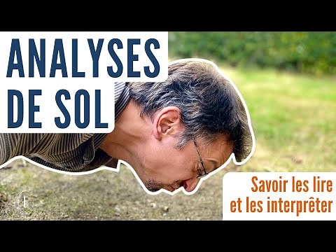 ⚠️ Everything you need to know about soil analysis 🐛