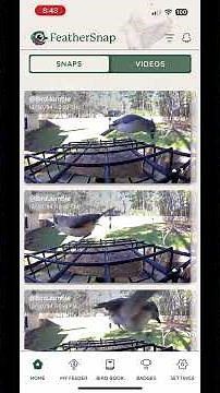 FeatherSnap Bird Feeder - How to delete more than one image at a time