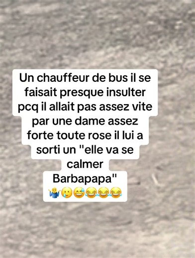 Qui a dit apéro ? – blague du chauffeur de bus et la dame Barbapapa