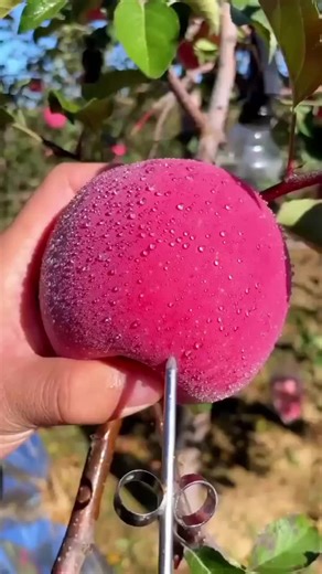 Kumpulan Cerita Lucu Ngakak untuk Menghibur