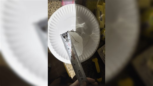 Photos show 'destructive,' baseball-sized hail as storms slam the Chicago area